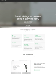 website 5