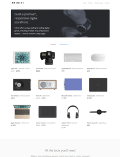 website 2